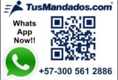 whatsapp_TusMandados_3005612886-300×225-1