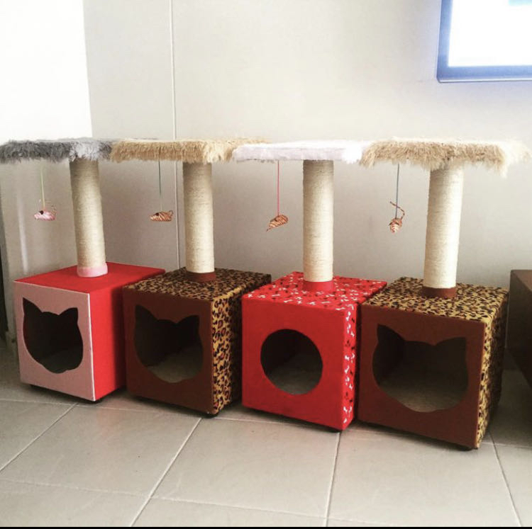 0F4F4998-C206-468E-ABF8-14A6266CC968