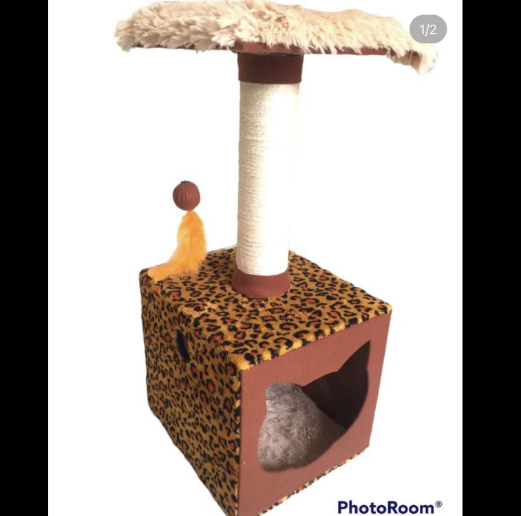 EF4DE8C8-FE32-421E-83DF-950A20A2D5DC