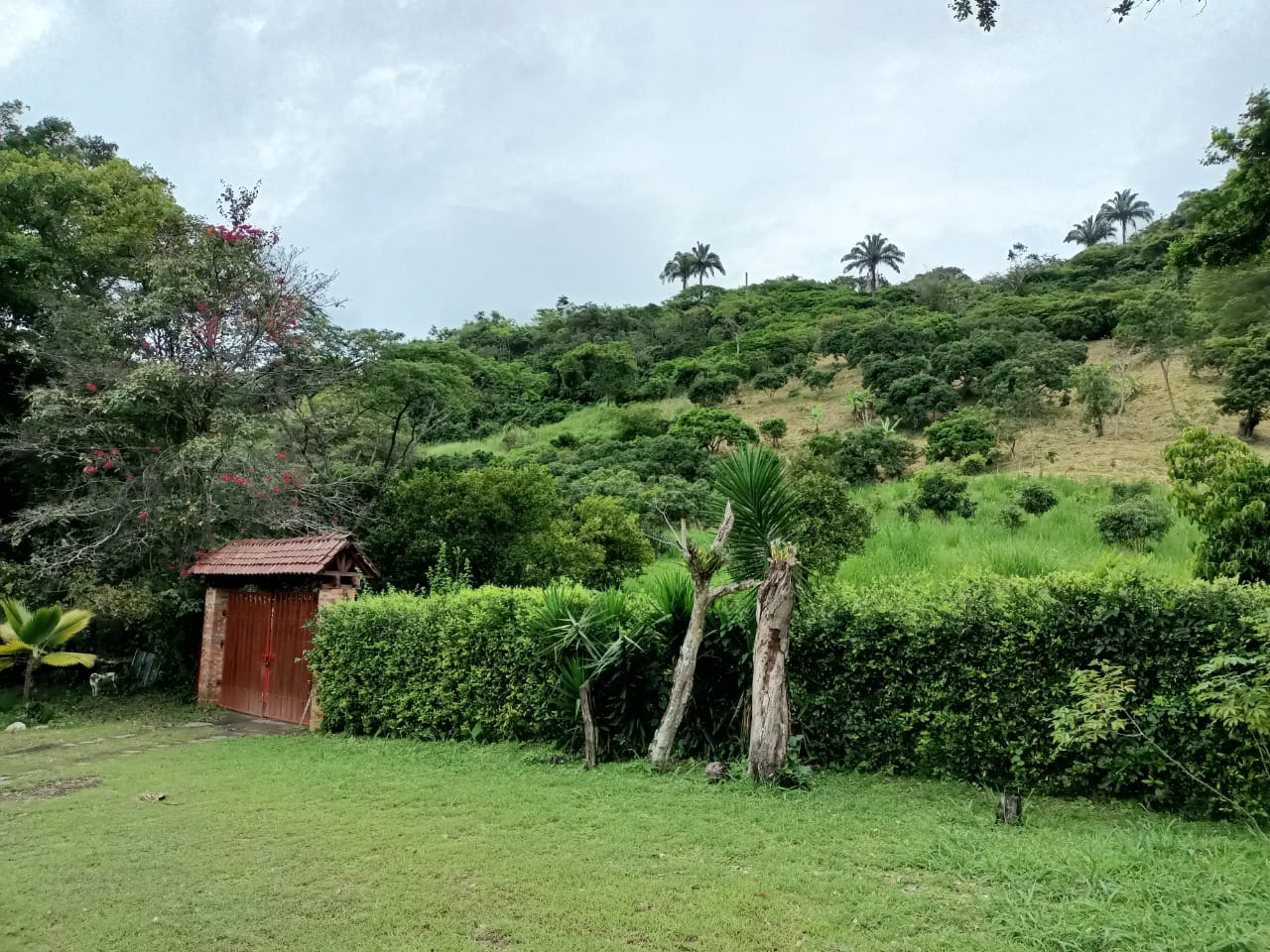 finca-7