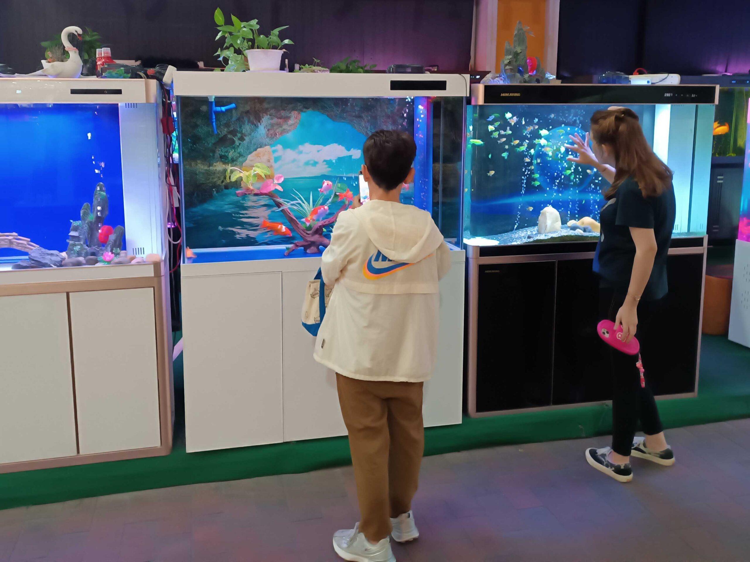 70fa0a95-7024-47b4-b490-de4e2a2a4ed4