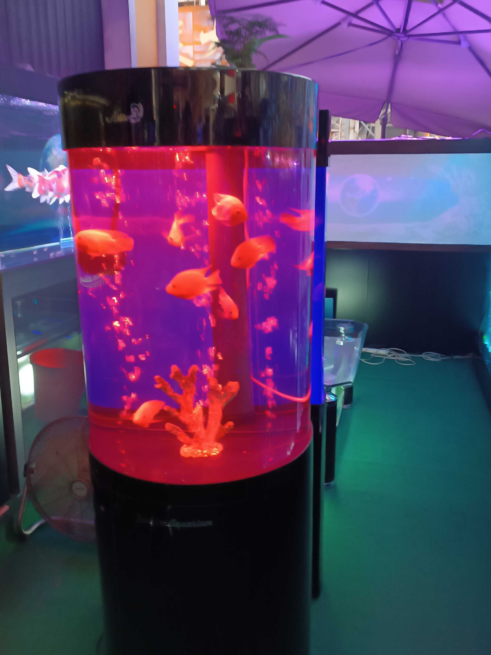 7c1e9722-c902-42ac-9e0a-df10123eb1b4-1