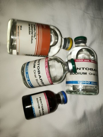 Nembutal1