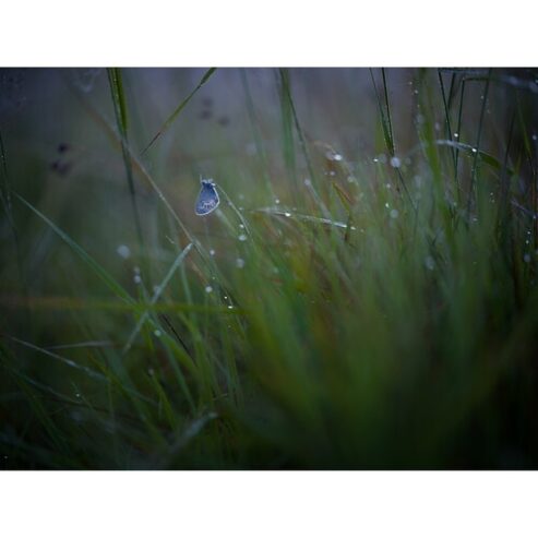 hasselblad-xcd-90mm-f25-v-lens-02