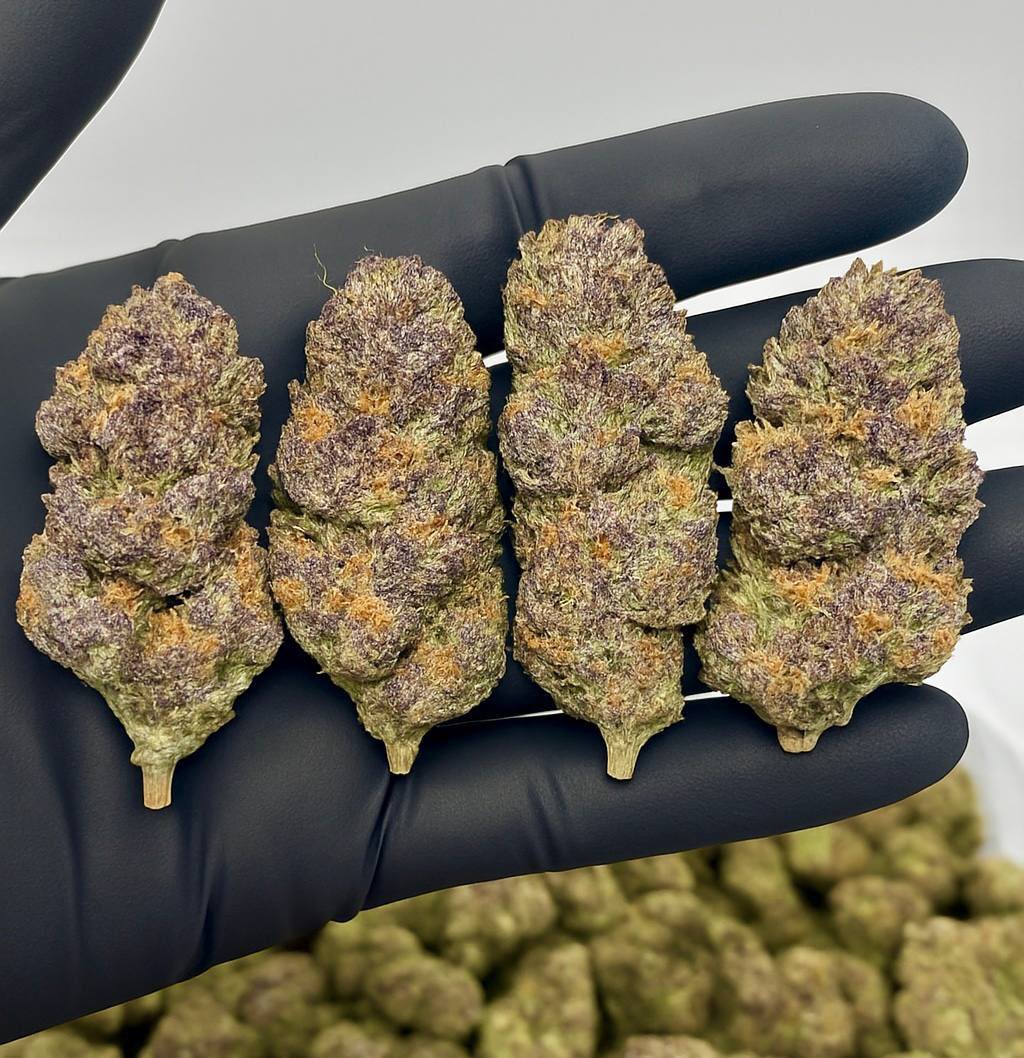 36d67c4d-361c-4218-b5dc-9c34f249f677-Copy