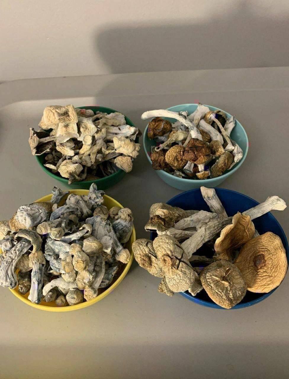 photo_2025-07-01_21-13-09