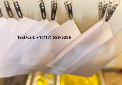 photo_2024-08-15_02-16-51