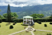 foto3-Los-Gualandayes-chinauta